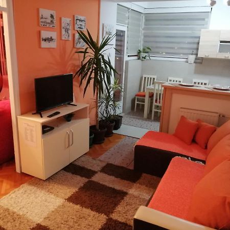 Apartman Dunja 弗拉涅 外观 照片